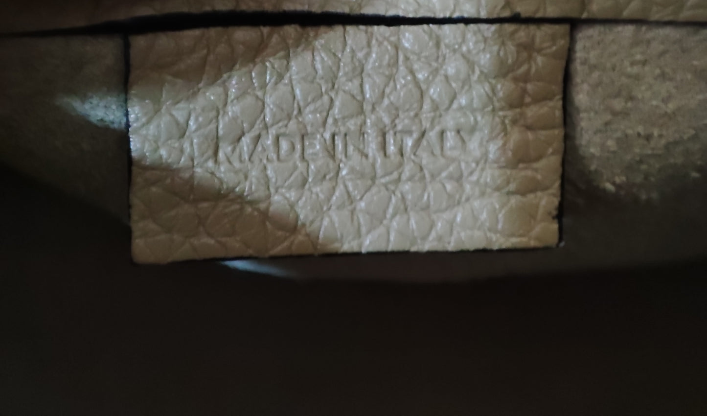 Celine Luggage Bag Dune Nano
