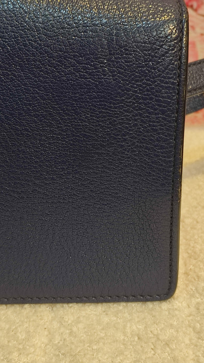 Miu Miu Textured Leather/Suede Blue/Pink Bag
