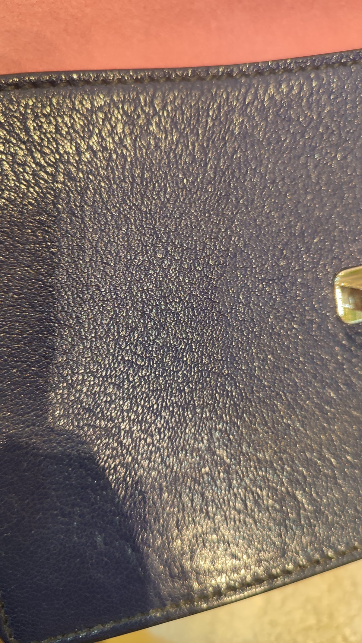 Miu Miu Textured Leather/Suede Blue/Pink Bag
