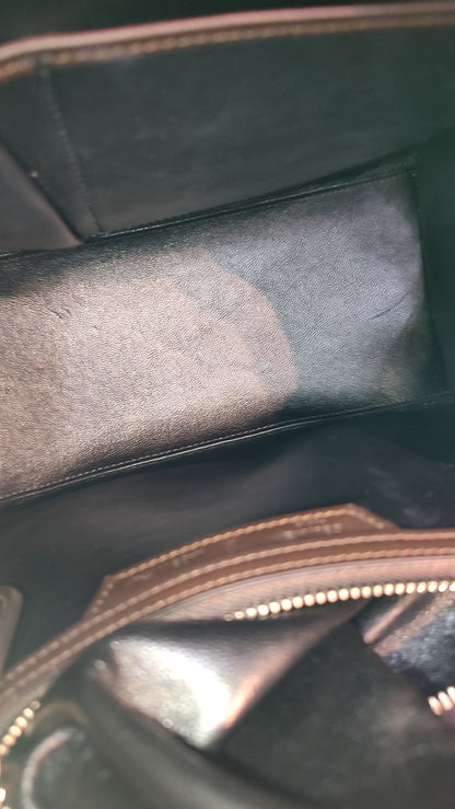 Celine Luggage Micro Tricolor Bag