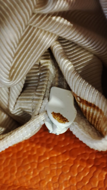 Chanel Vintage CC Backpack Caviar Orange Series 4
