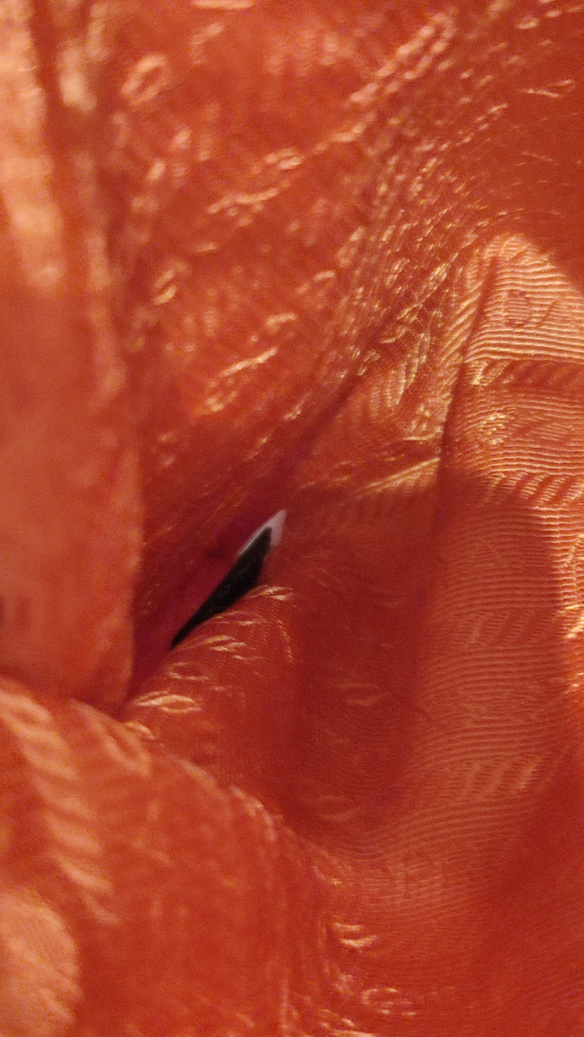 Prada Tessuto Nylon Backpack Orange
