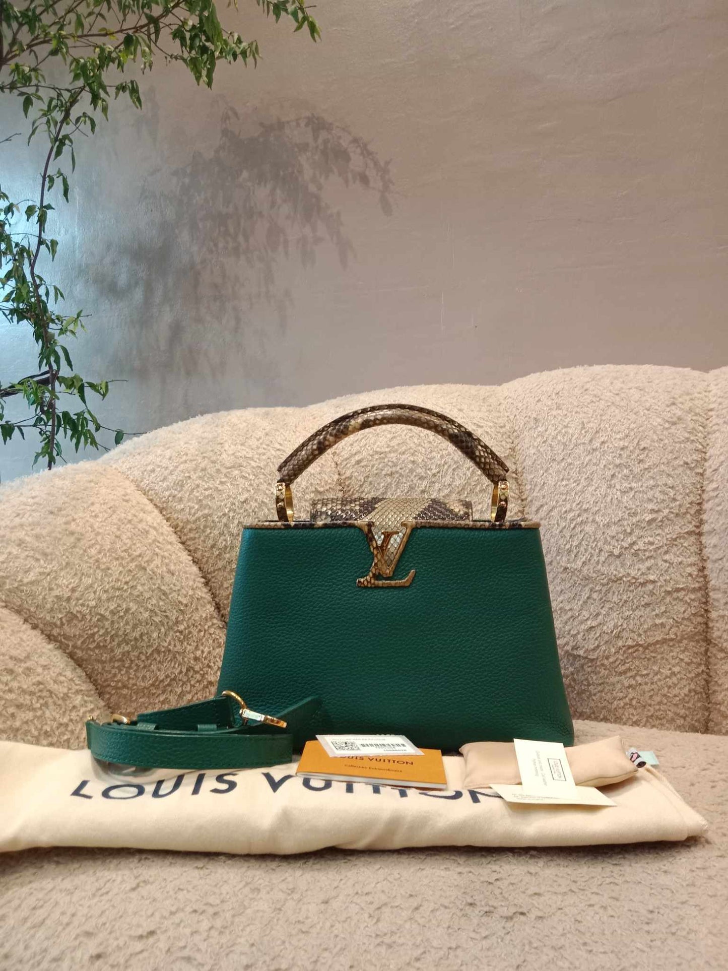 Louis Vuitton Capucine BB Python Green