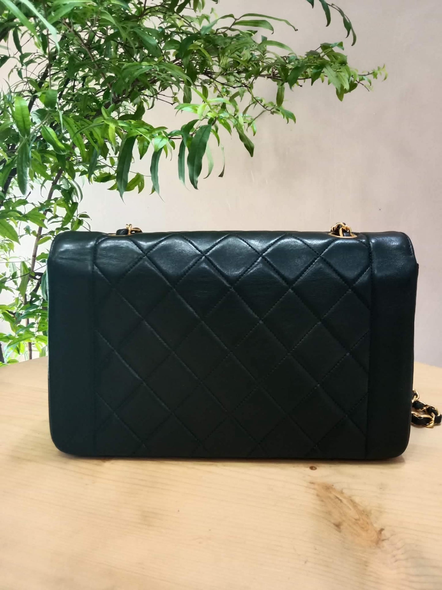 Chanel Diana Black Lambskin Series 2