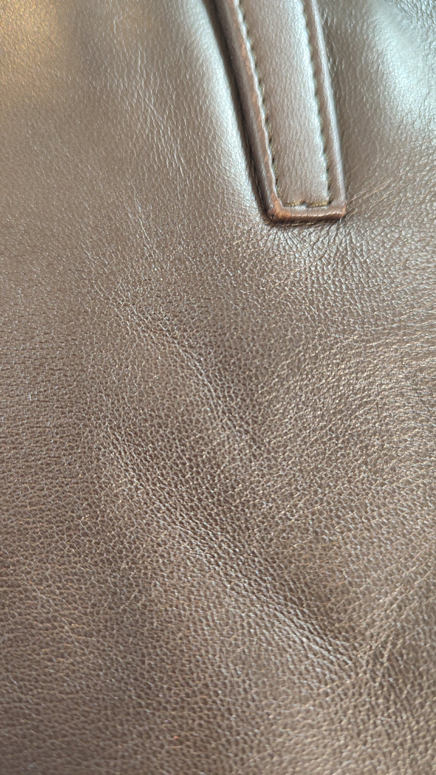 Loewe Brown Vintage Bag