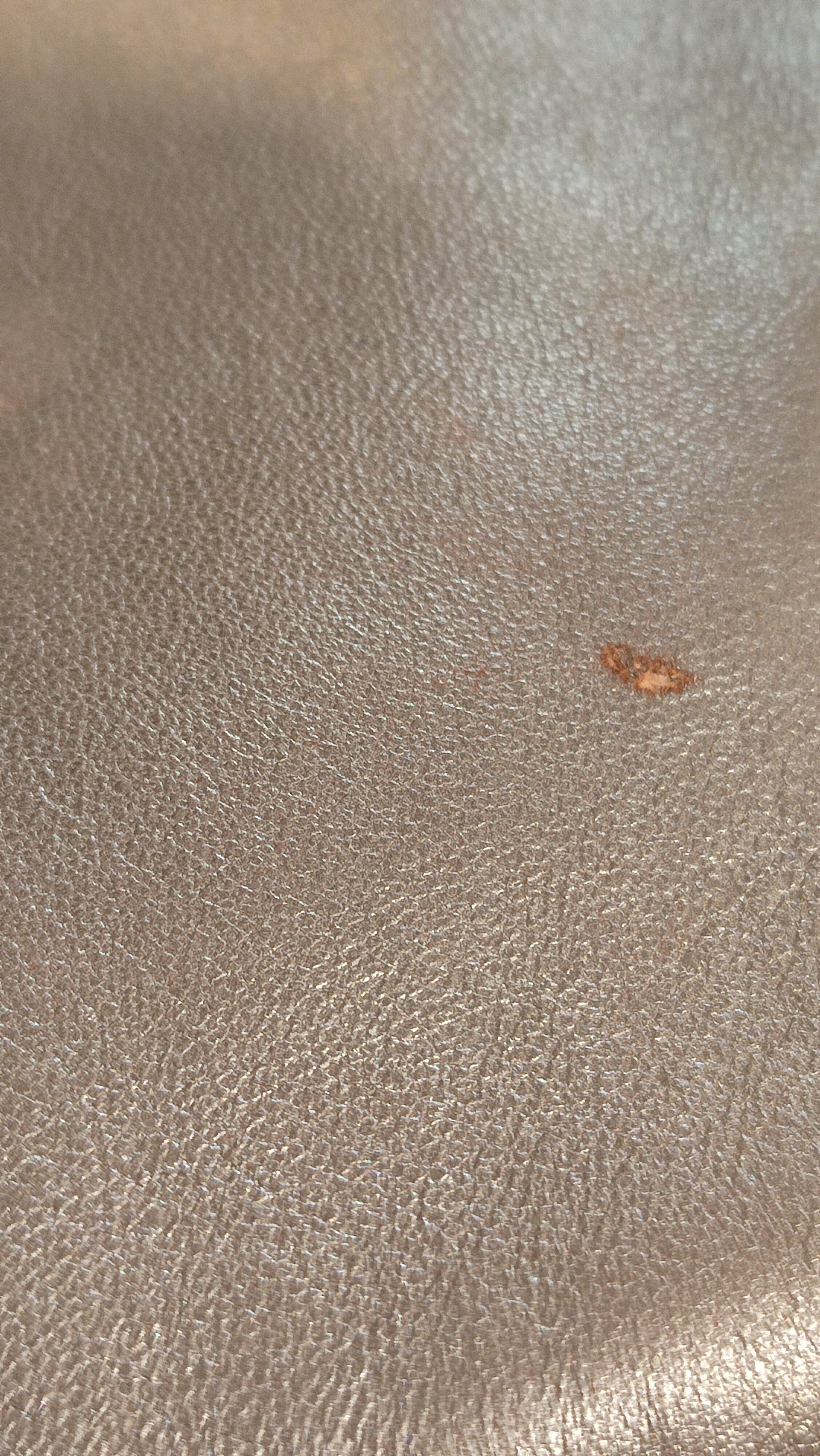 Loewe Brown Vintage Bag