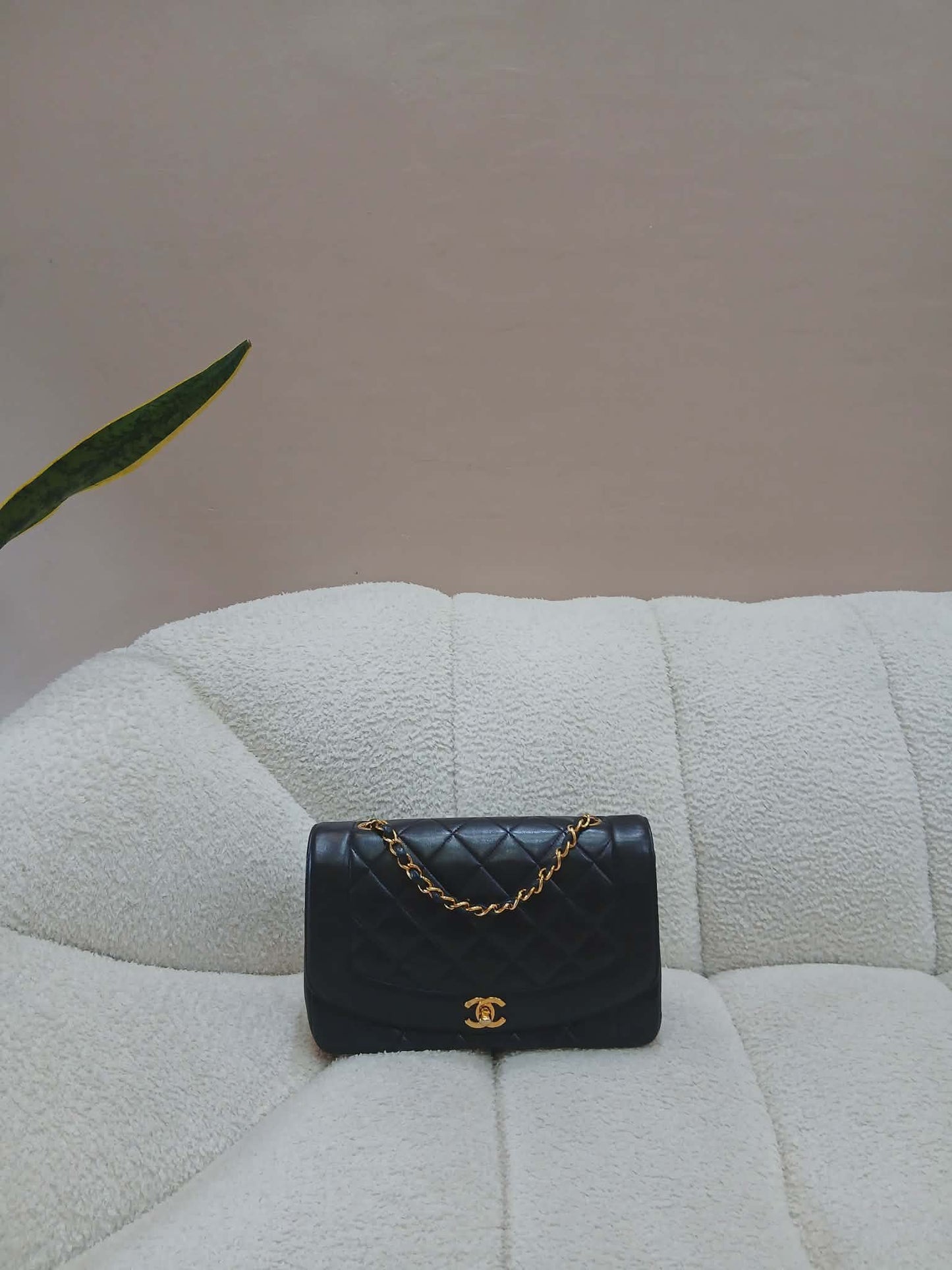Chanel Diana Single Flap Quilted Lambskin Black Small Series 3