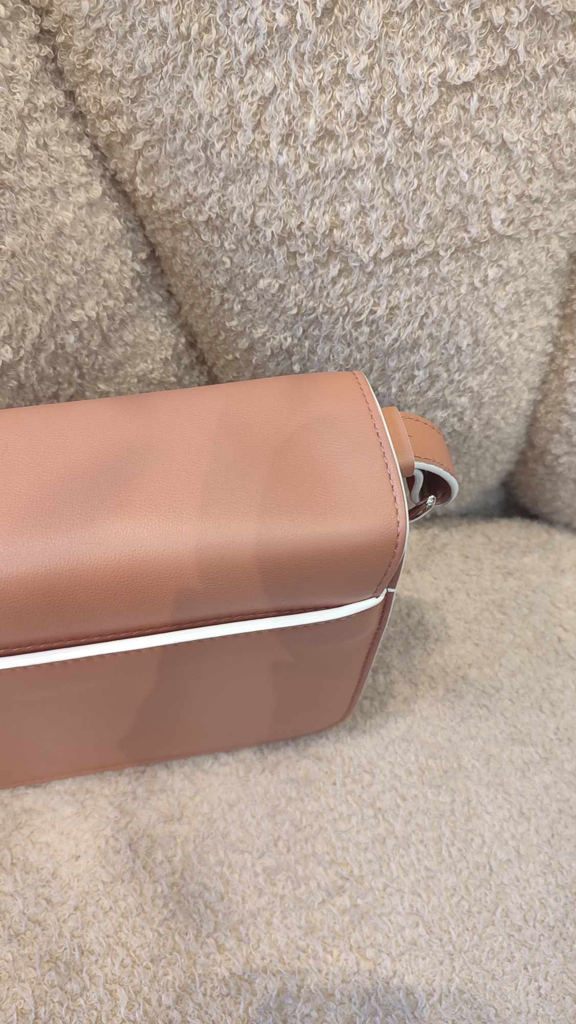 Loro Piana Artemis Salmon Pink Calfskin Bag