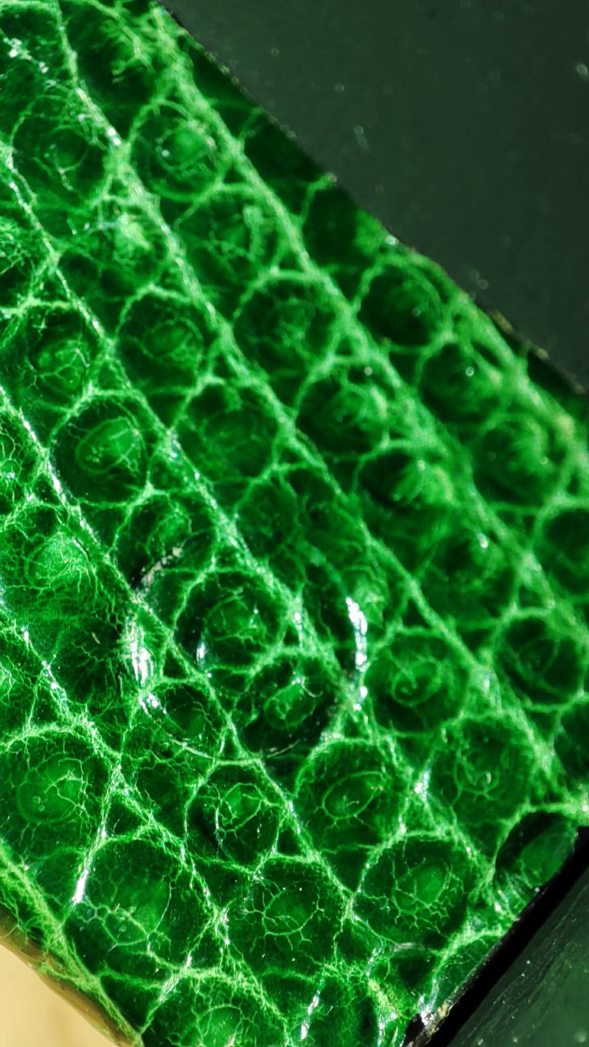Hermes Lizard Green Vintage Bag Stamp O Circle 1985