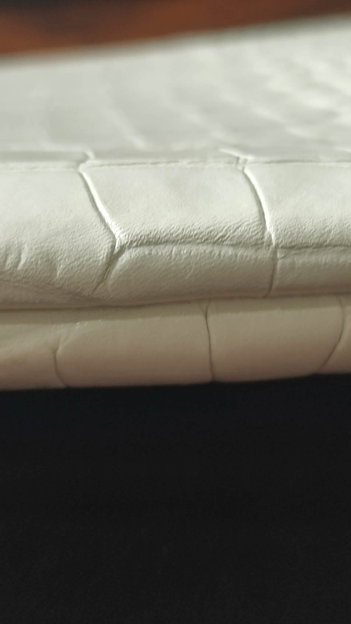 Chanel OCase Croc Embossed White Series 28