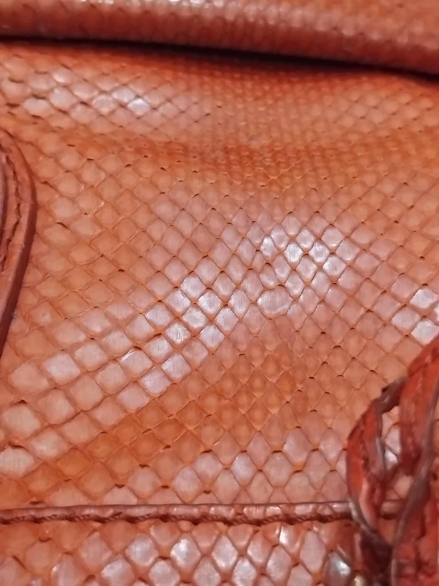 Celine Python Snakeskin Luggage Envelope Tote Bag Orange