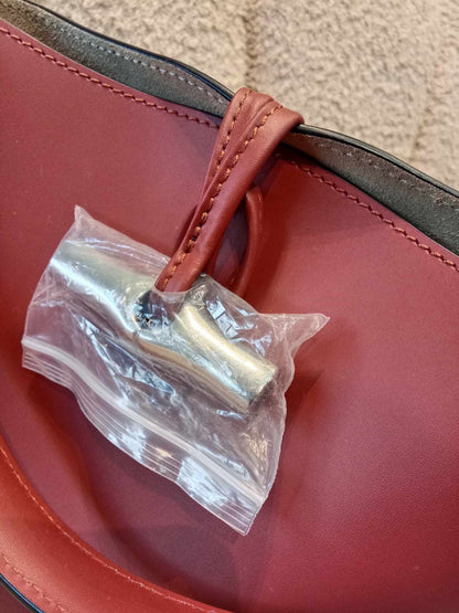 Longchamp Le Roseau Crossbody Brown Bag