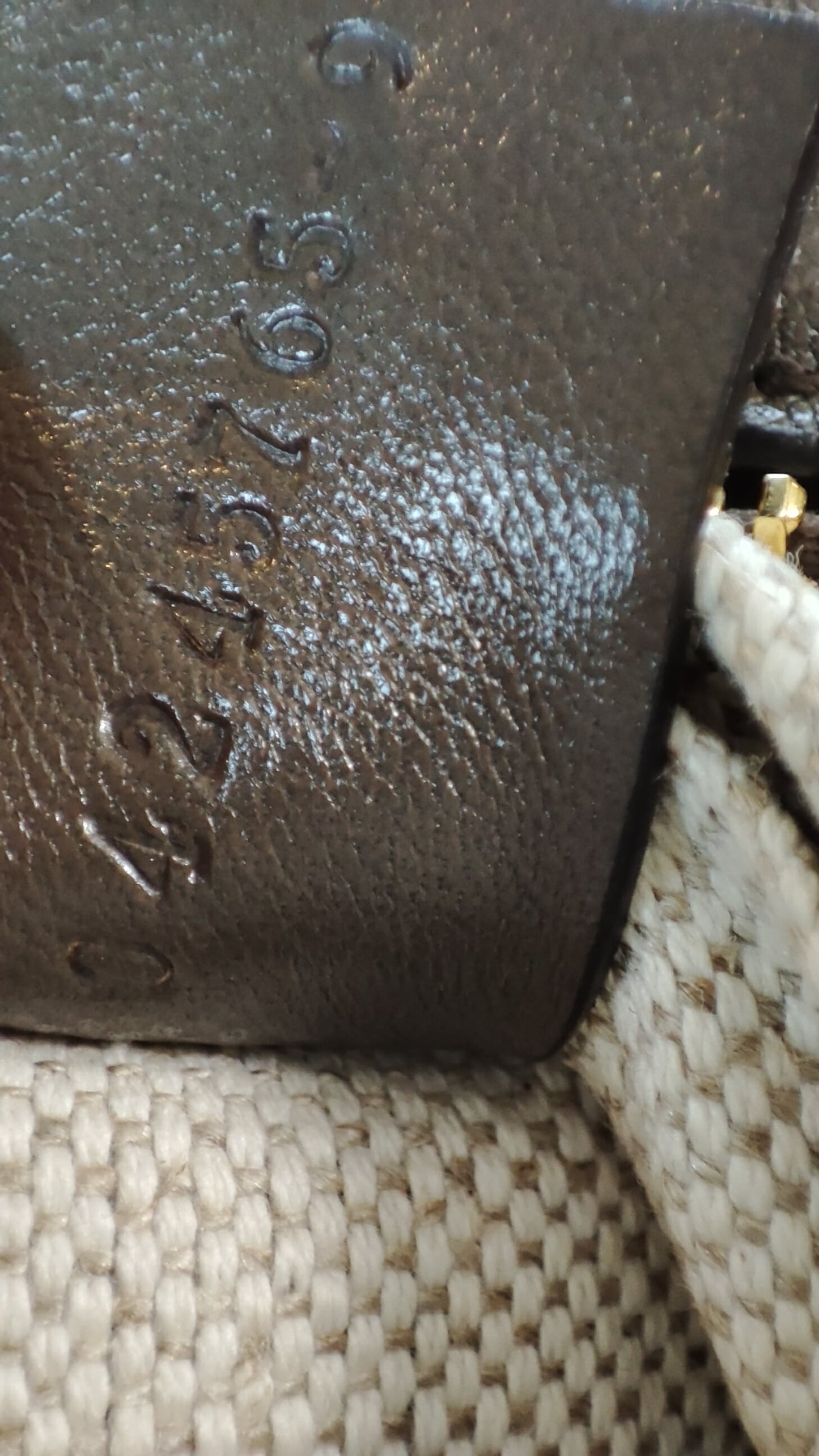 Chloe Small Double Carry Flannel Gray Bag