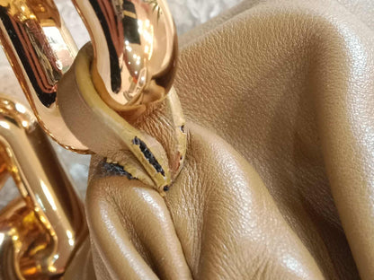 Bottega Veneta Chain Pouch Brown