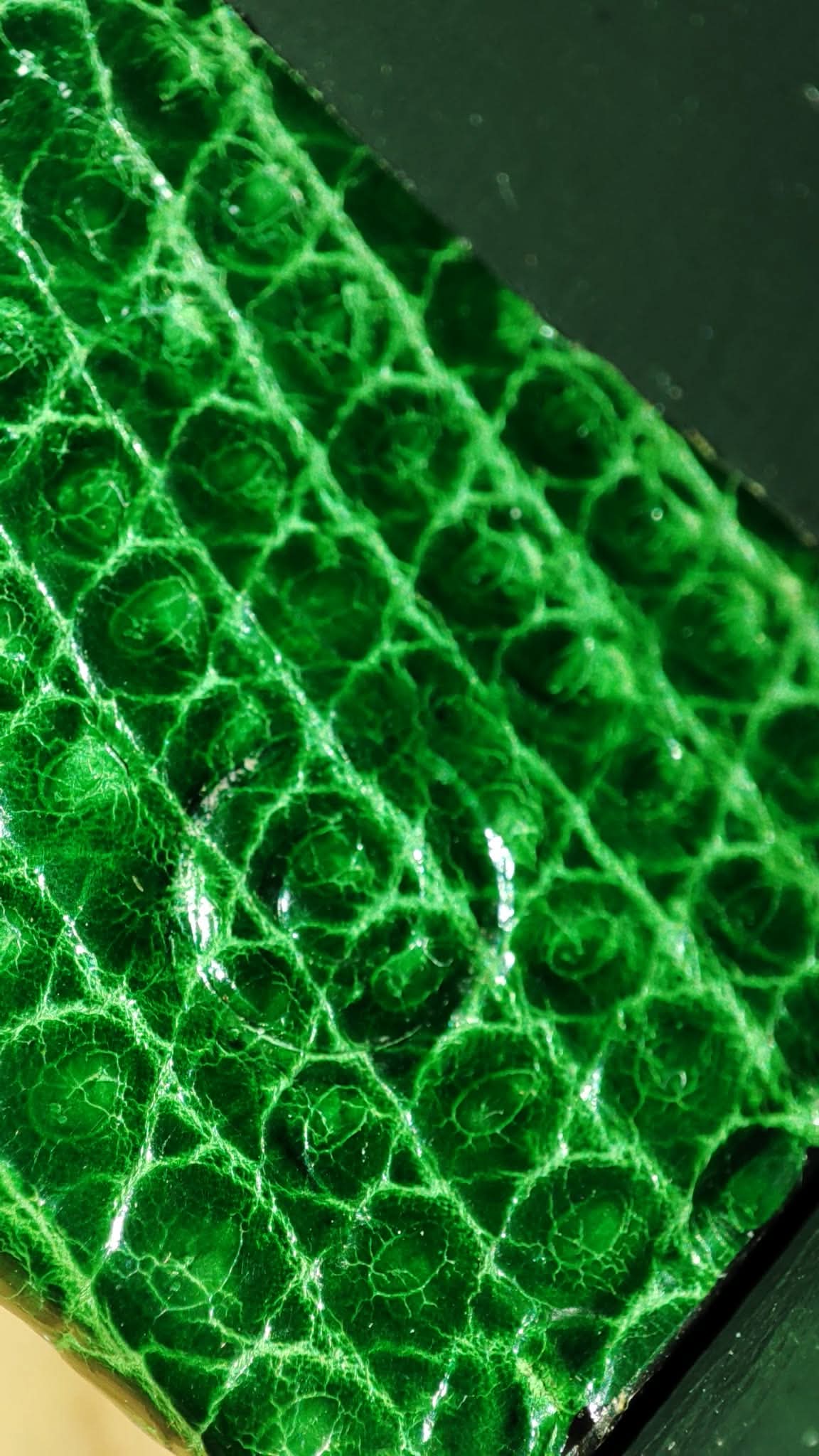 Hermes Lizard Green Vintage Bag Stamp O Circle 1985
