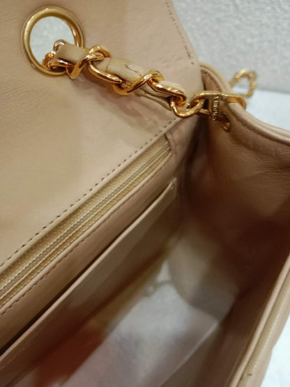 Chanel Diana Beige Lambskin Series 2
