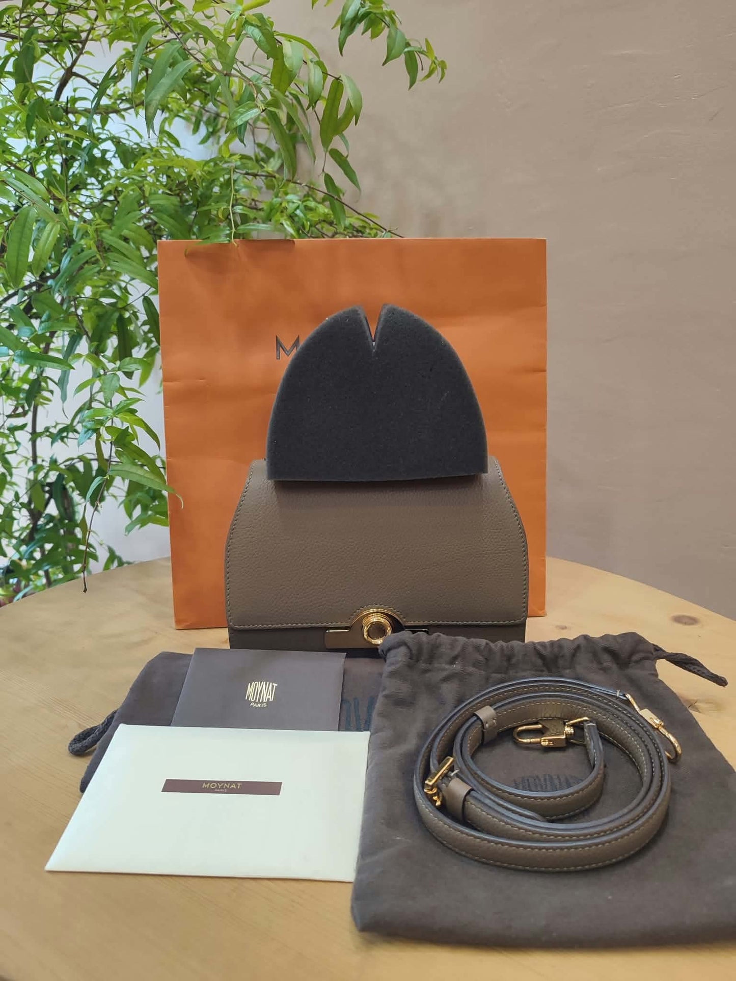 Moynat Rejane Bag Taupe BB