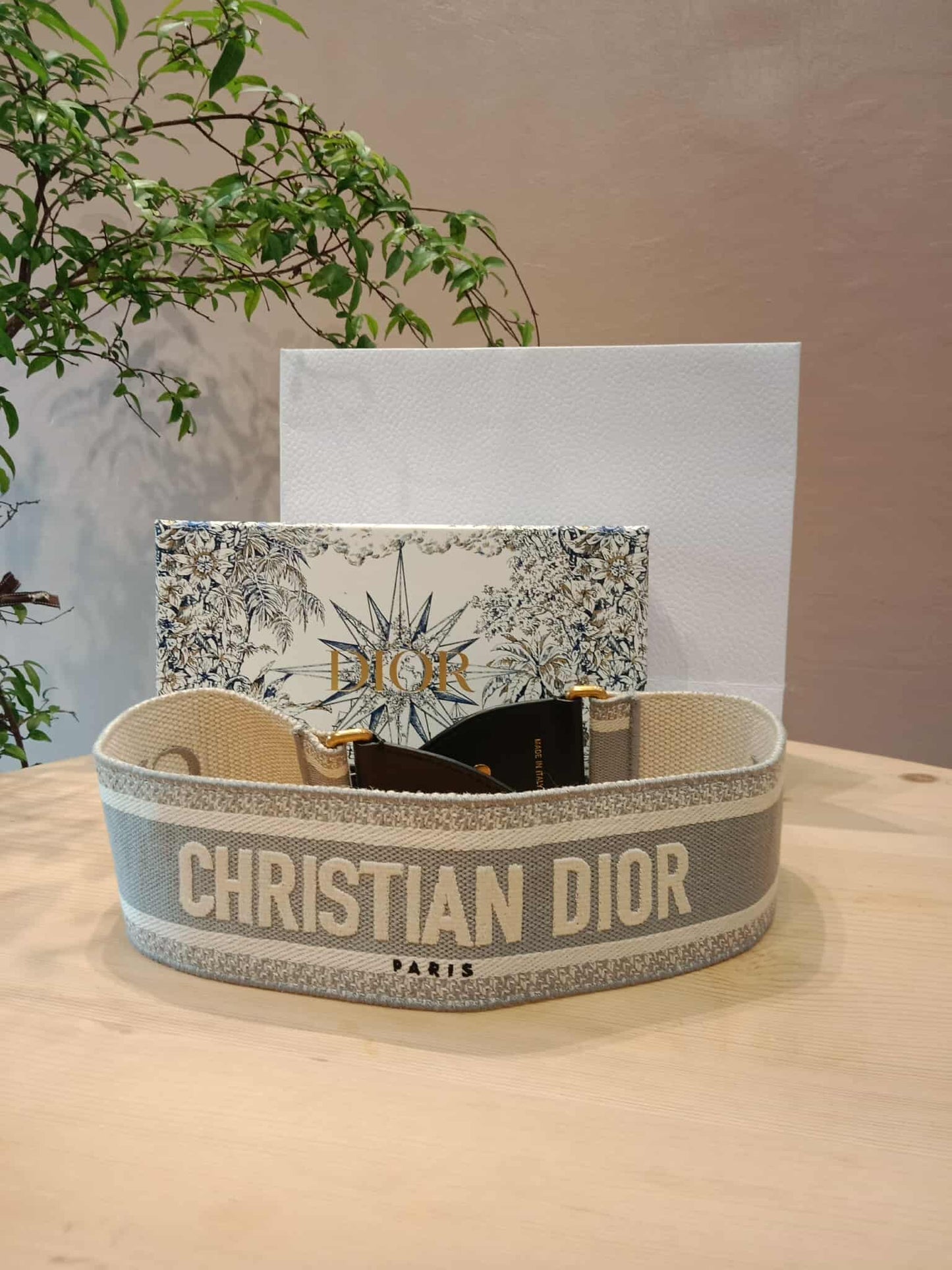 Dior Embroidered Logo Shoulder Strap