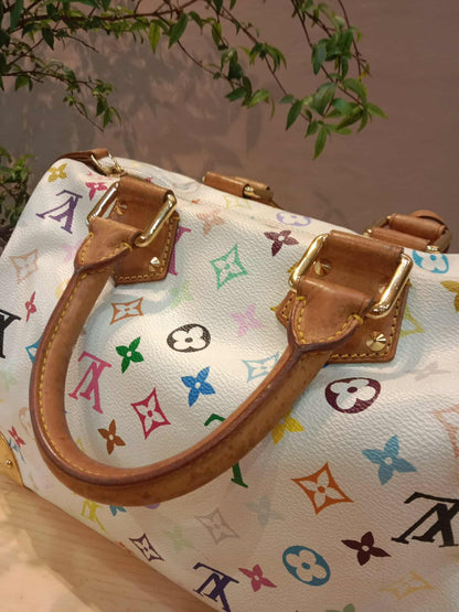 Louis Vuitton Speedy 30 Multicolor Monogram