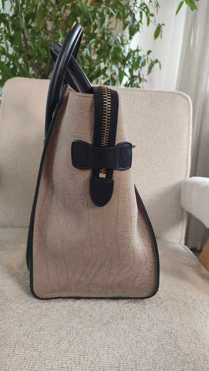Celine Phantom Luggage Tricolor Bag