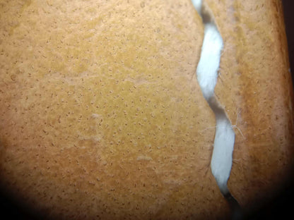 Hermes Birkin 30 Sellier Vache Naturelle Sable Grainee Stamp K 2025