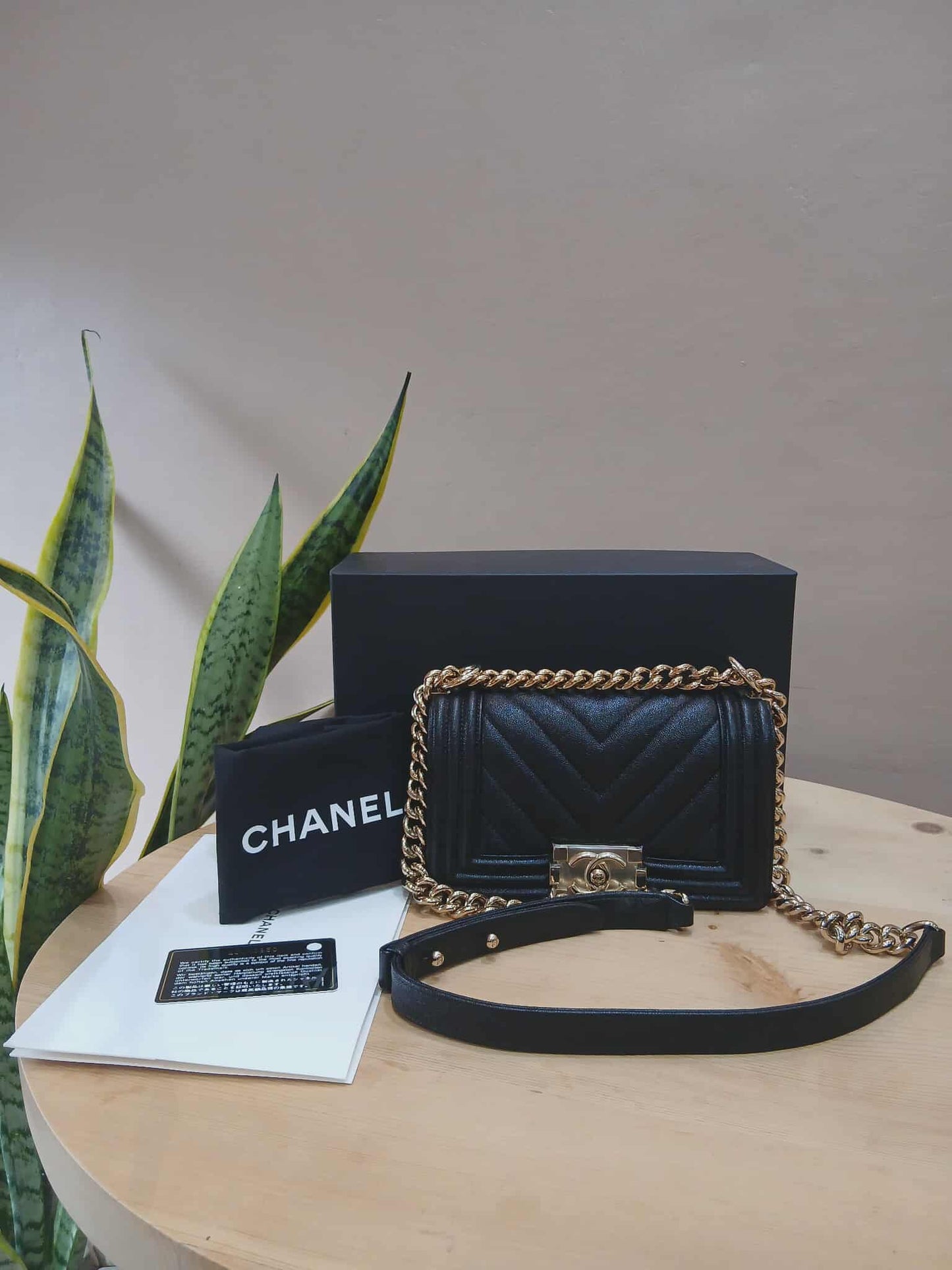 Chanel Leboy Chevron Caviar Small Black Series 29