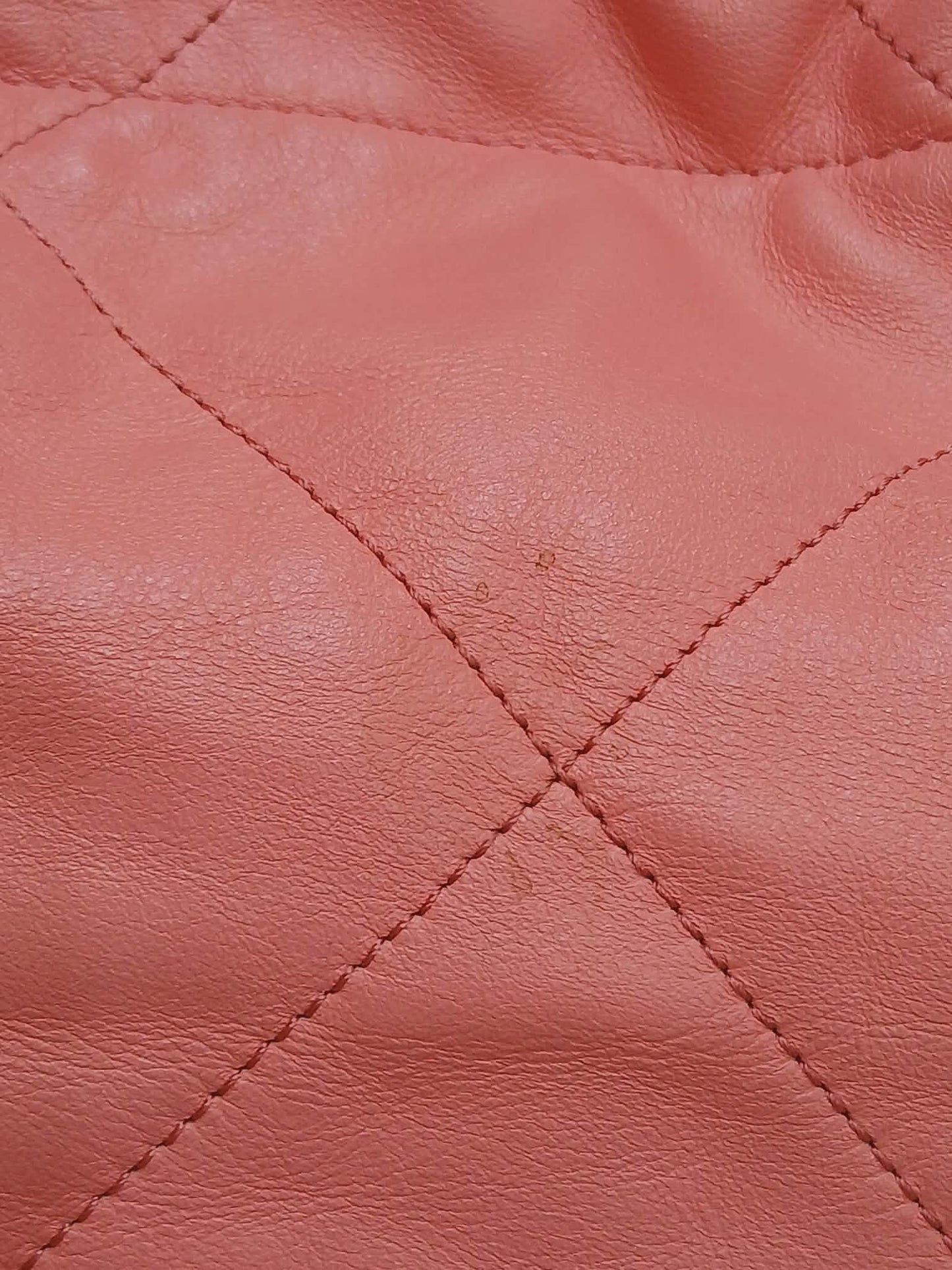 Chanel 22 Hobo Calfskin Pink Microchipped