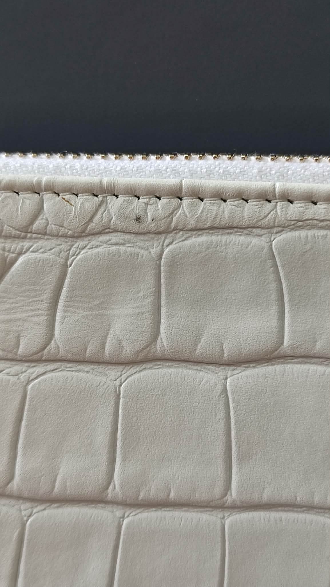 Chanel OCase Croc Embossed White Series 28