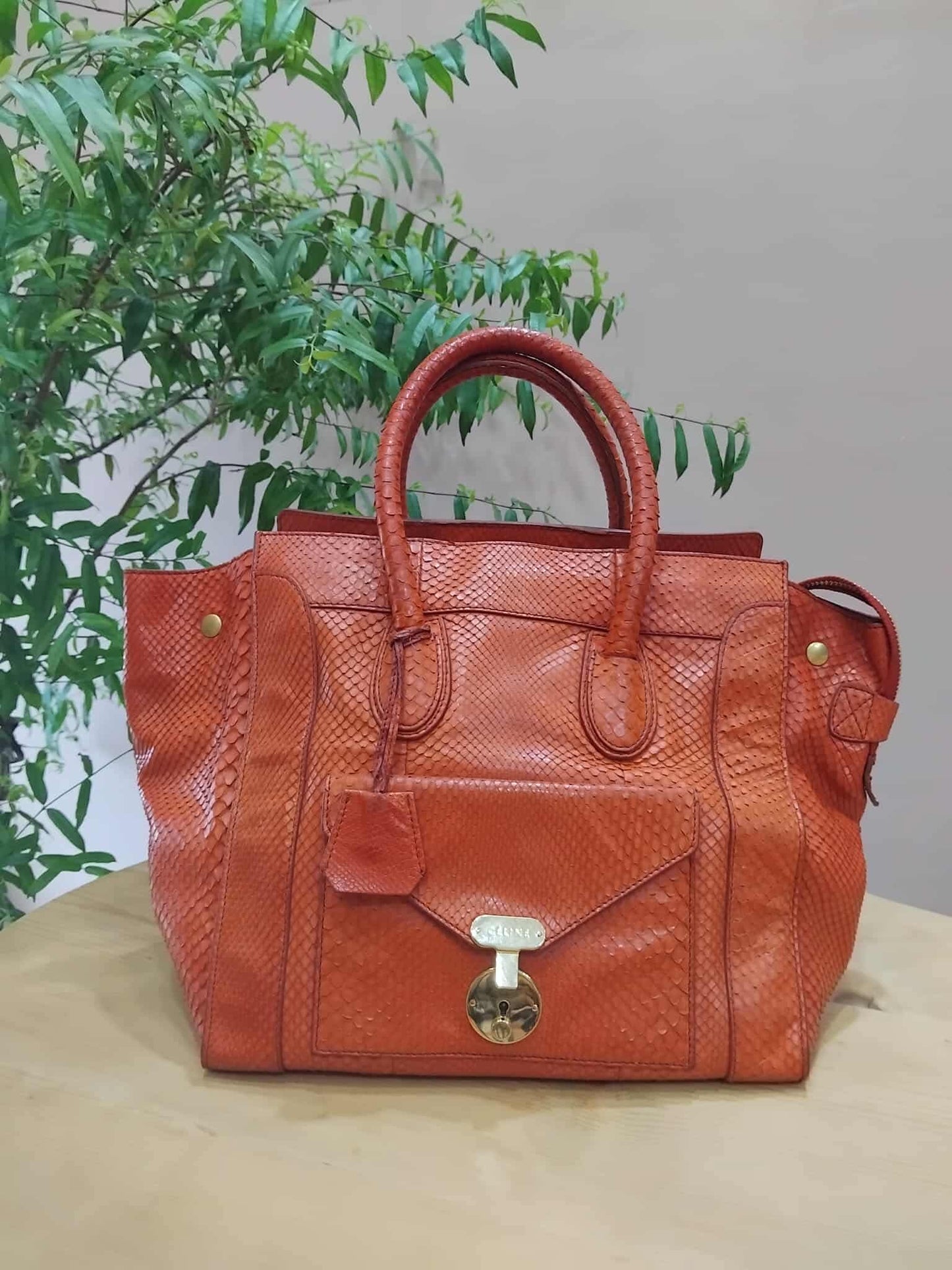 Celine Python Snakeskin Luggage Envelope Tote Bag Orange