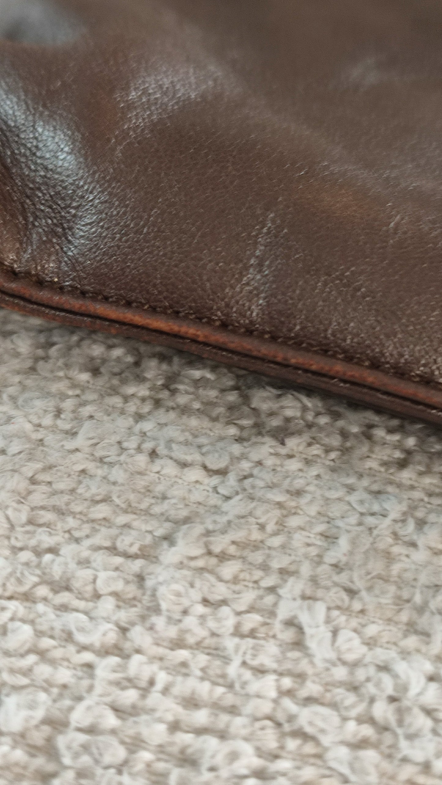 Loewe Brown Vintage Bag