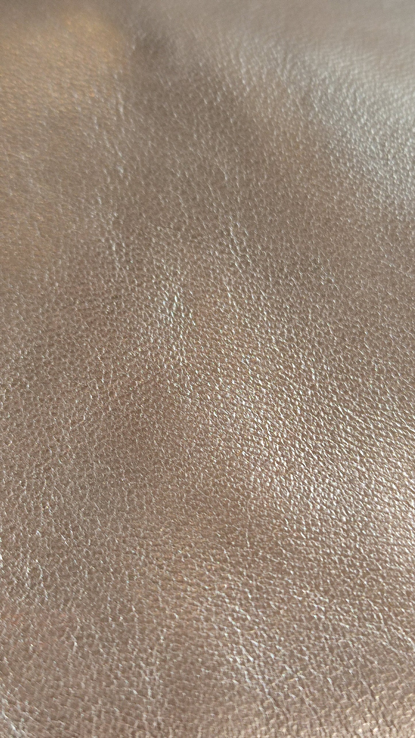 Loewe Brown Vintage Bag