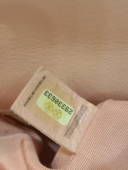 Chanel 19 Lambskin Light Pink Small Series 29