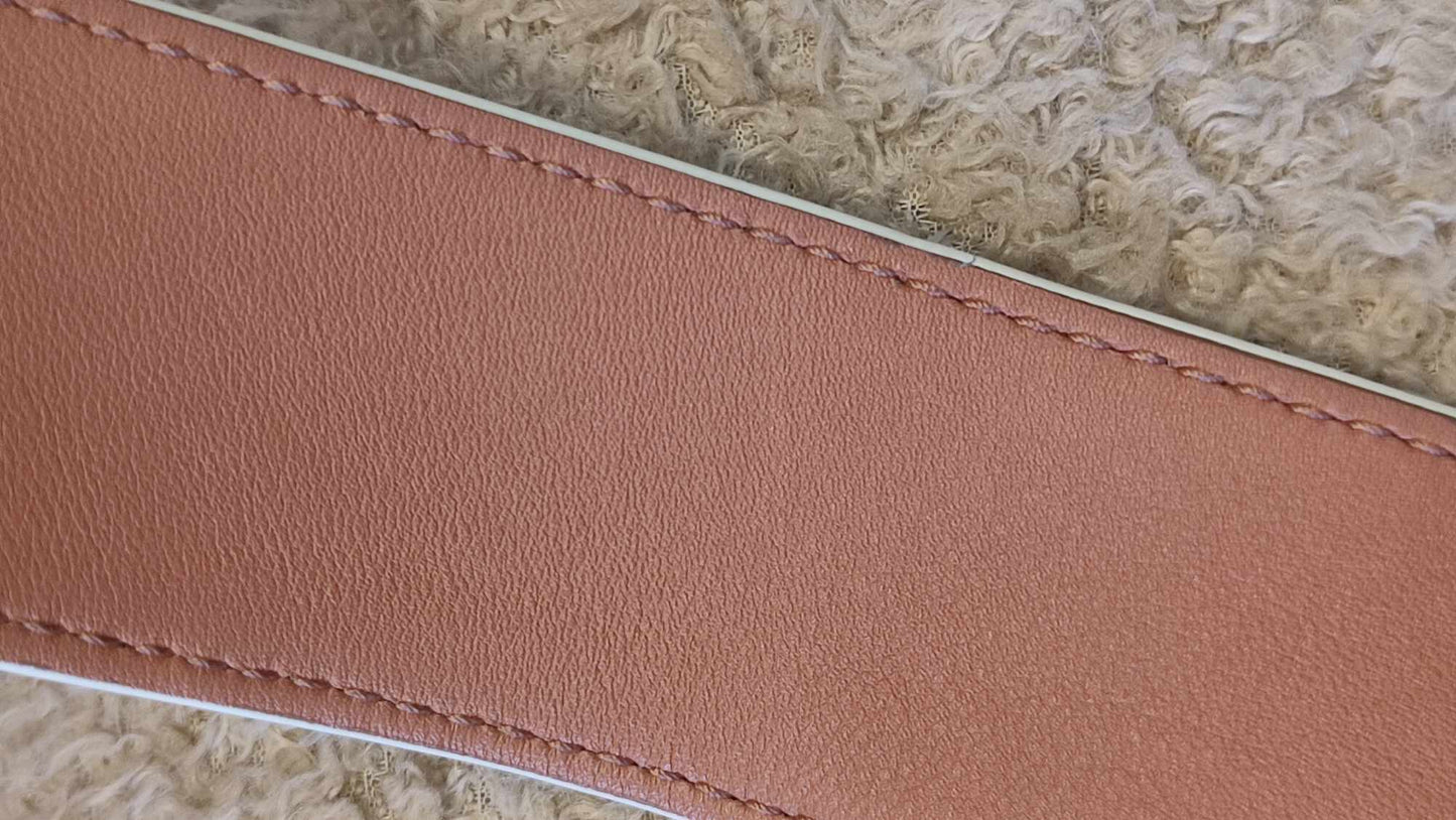 Loro Piana Artemis Salmon Pink Calfskin Bag