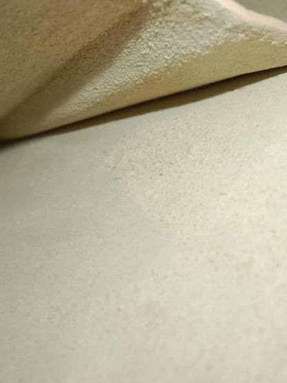 Loro PIana L27 Extra Bag Beige Fullset