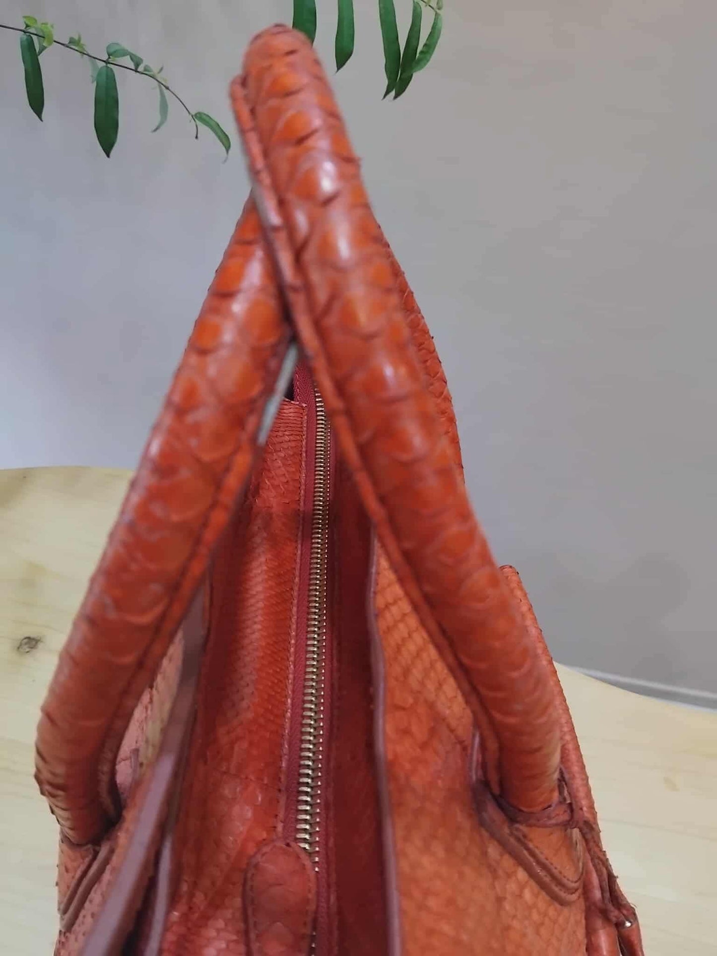 Celine Python Snakeskin Luggage Envelope Tote Bag Orange