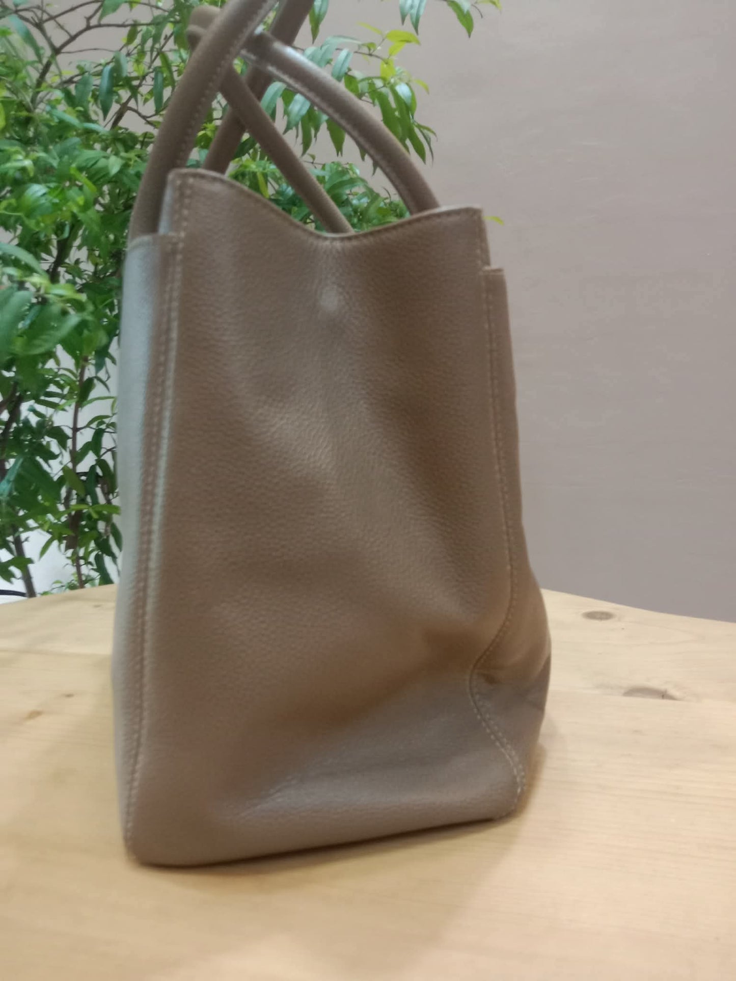 Chanel Cerf Executive Tote in Neutral Taupe Color CC Turnlock Closure Series 17