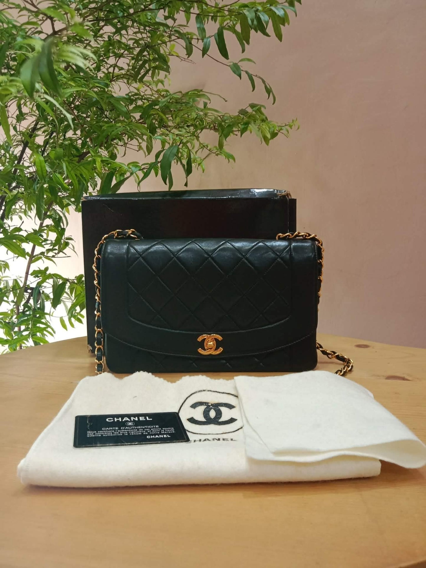 Chanel Diana Black Lambskin Series 2