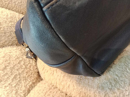 Longchamp Leather Blue Medium Limited Edition Bag