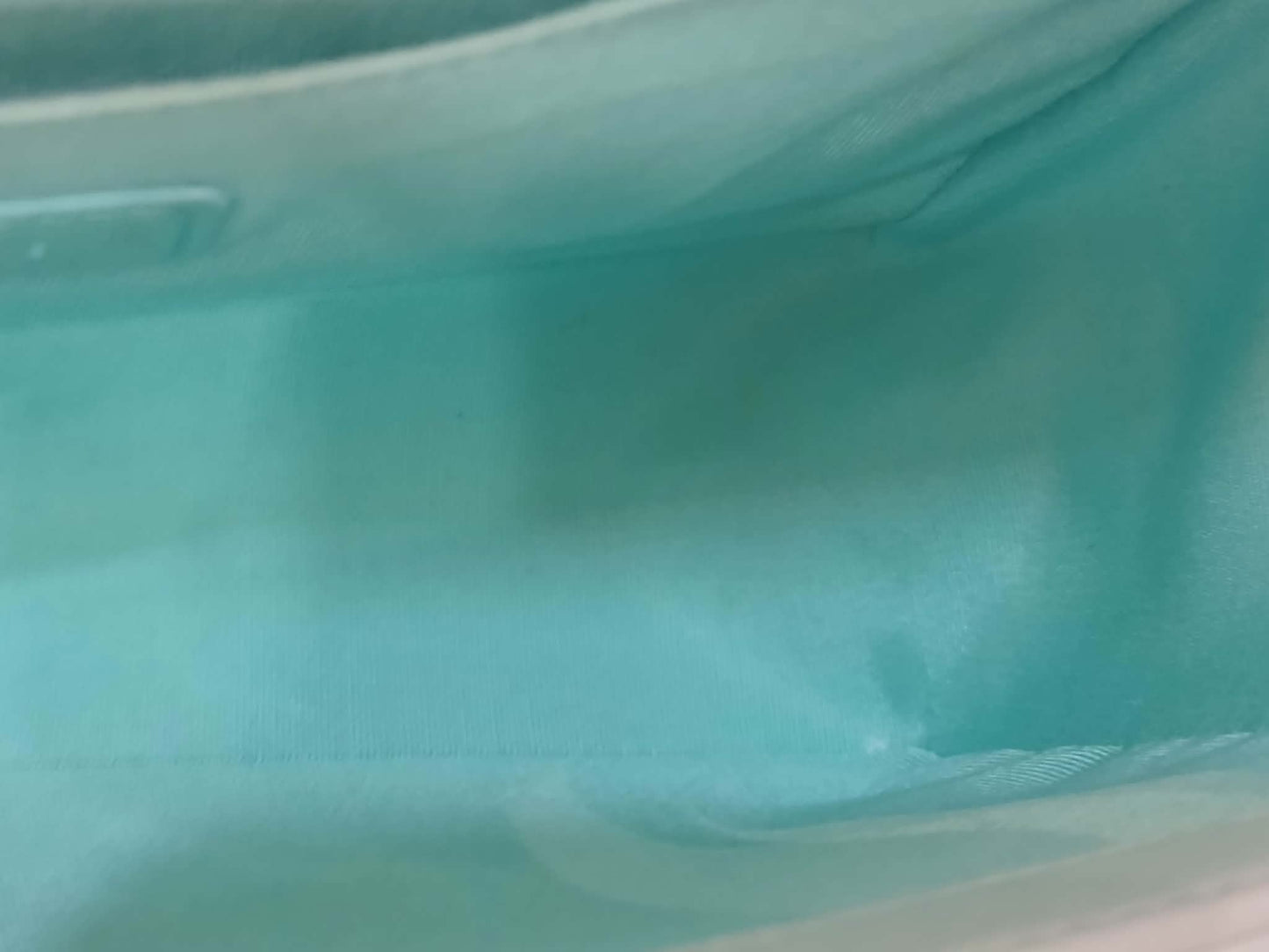 Chanel Leboy Chevron Iridescent Green Old Medium Series 25