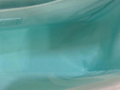 Chanel Leboy Chevron Iridescent Green Old Medium Series 25