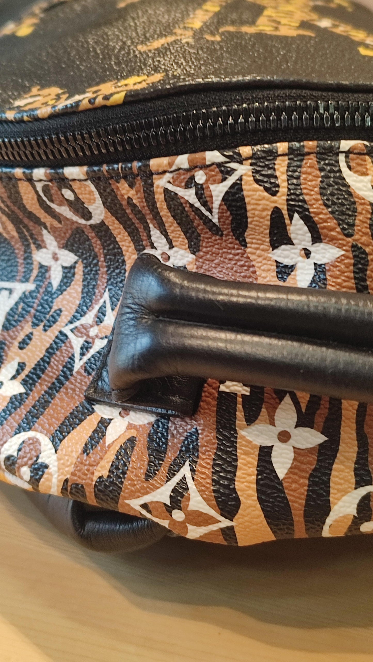 Louis Vuitton Jungle Monogram Palm Springs Backpack