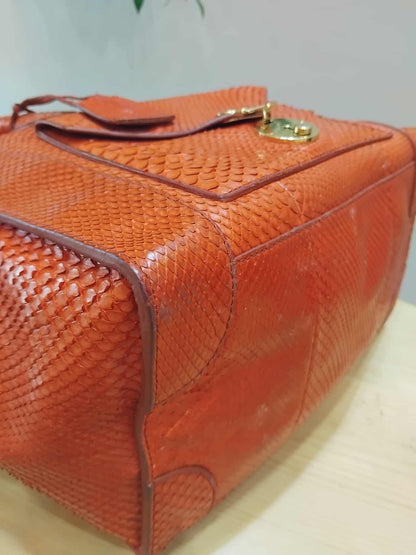 Celine Python Snakeskin Luggage Envelope Tote Bag Orange