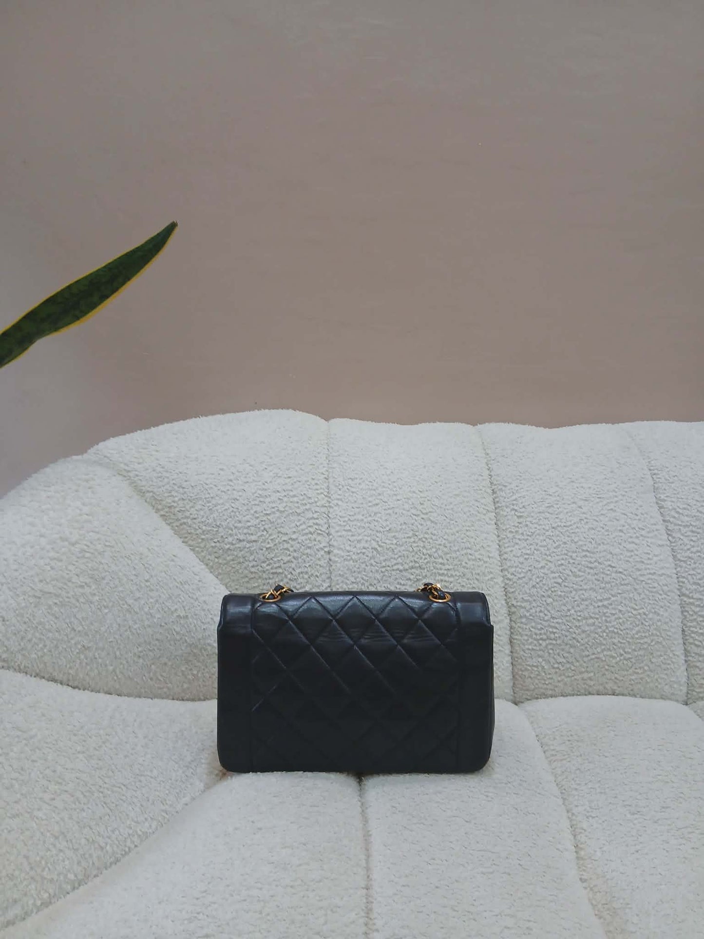 Chanel Diana Single Flap Quilted Lambskin Black Small Series 3
