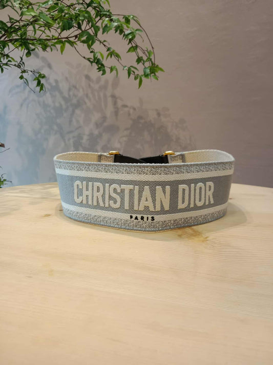Dior Embroidered Logo Shoulder Strap