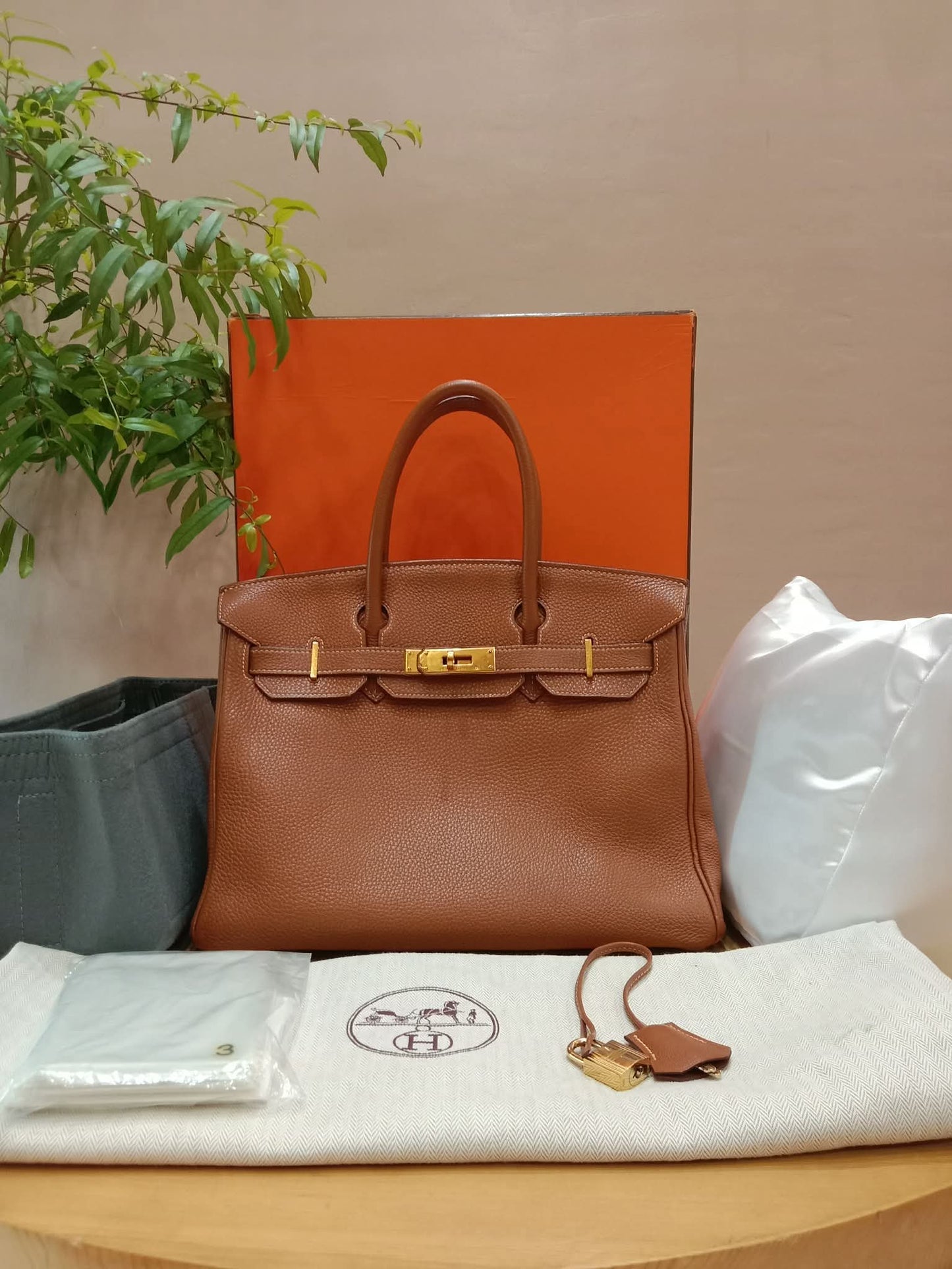 Hermes Birkin 30 Gold on Gold Clemence Stamp E Square 2001