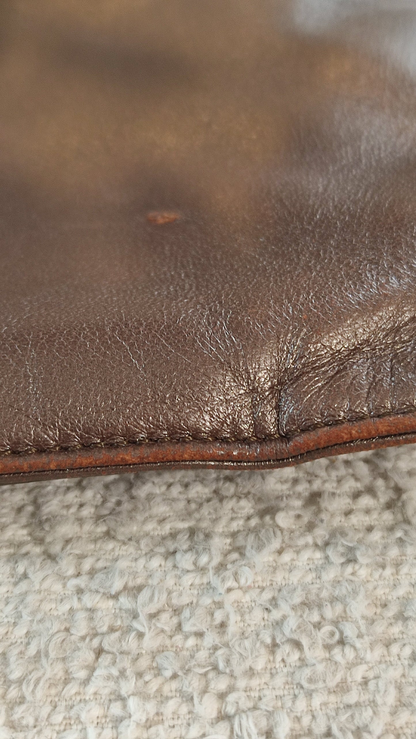 Loewe Brown Vintage Bag