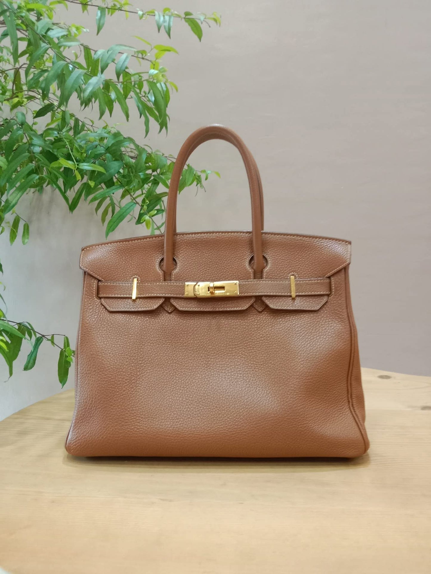 Hermes Birkin 30 Gold on Gold Clemence Stamp E Square 2001