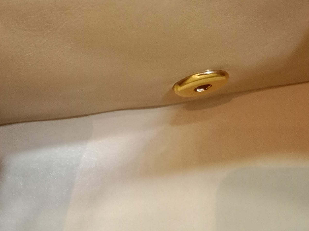Chanel Diana Beige Lambskin Series 2