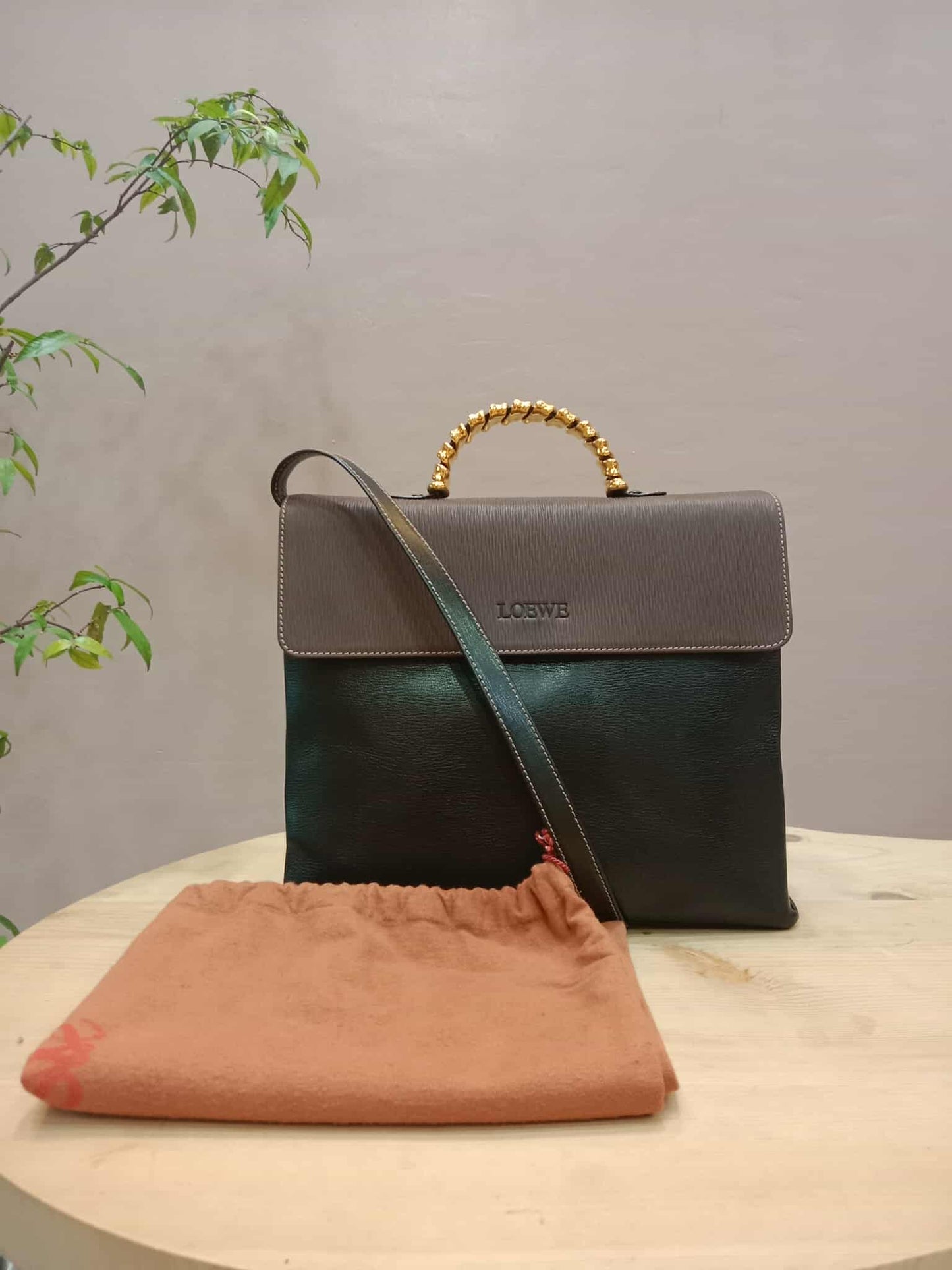 Loewe Velazquez Bicolor Handbag