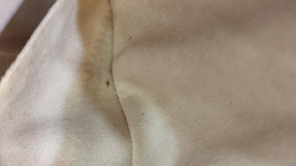 Gucci GG Marmont Beltbag Red